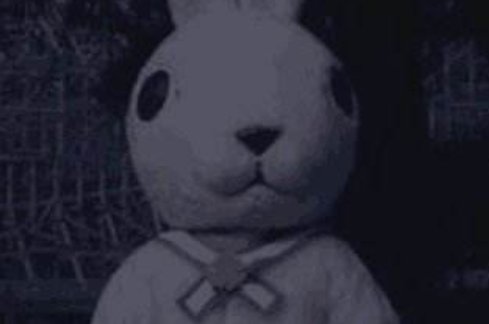 十只兔子中谁是凶手