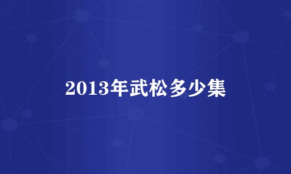 2013年武松多少集
