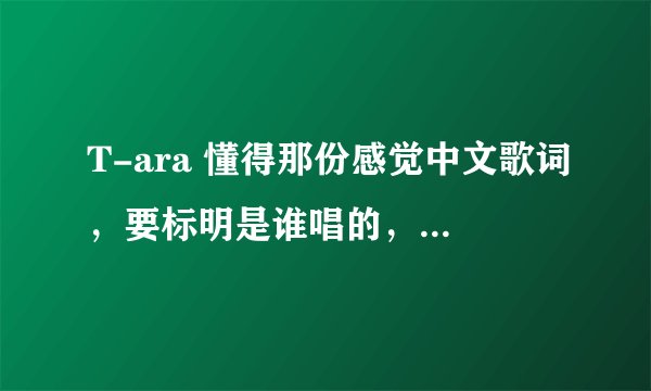T-ara 懂得那份感觉中文歌词，要标明是谁唱的，要完整，不要音译，记住是中文歌词，任何音译都不要。