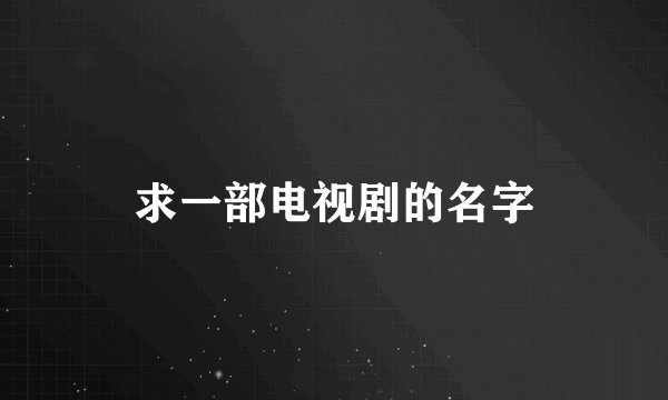 求一部电视剧的名字