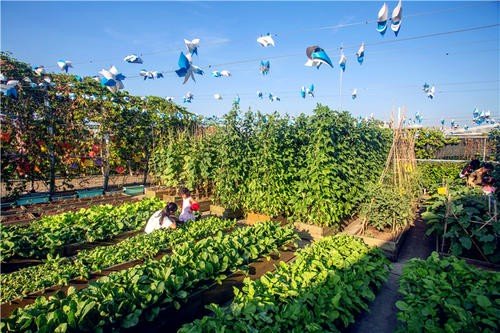 农场与庄园有什么区别吗?