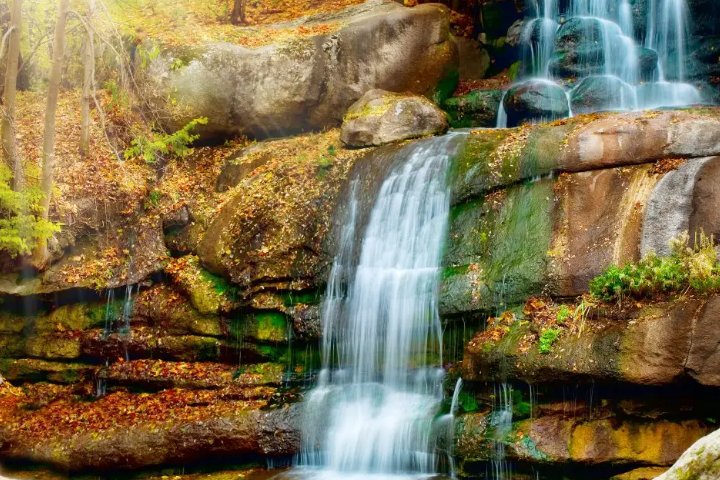 yoshi怎么读音英语