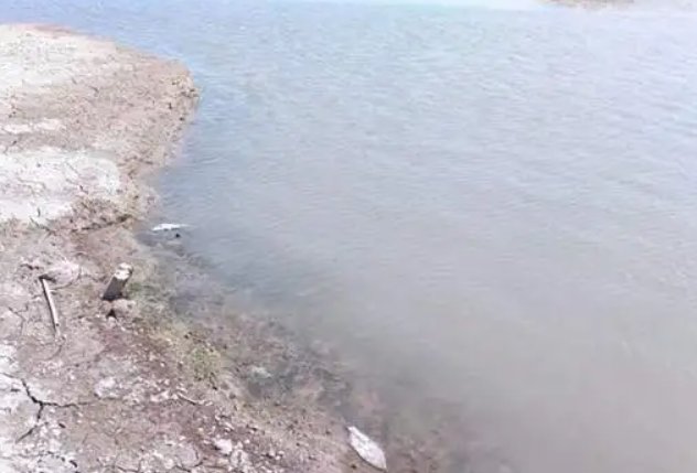 洞庭湖干旱，大量鱼群搁浅被困！这一现象是否会影响环境？