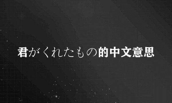 君がくれたもの的中文意思