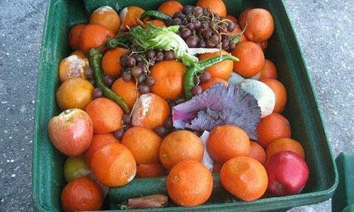 全球每年浪费食物高达16亿吨,政府是否有做出应对策略?