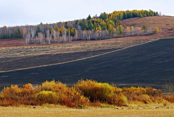 秋天的深处10字造句
