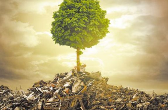 保护环境的重要性