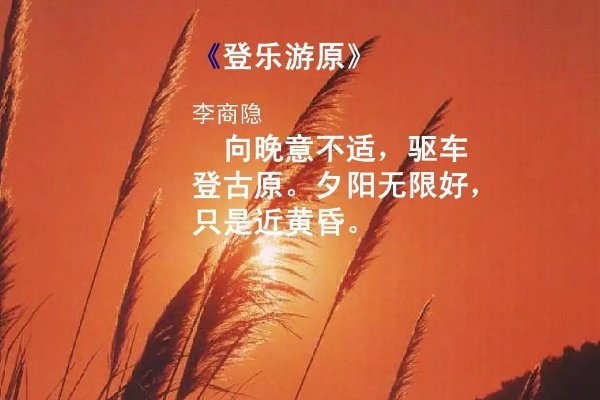 向晚意不适驱车登古原