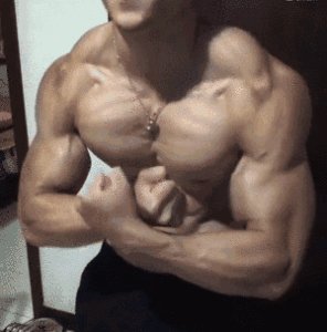 西斯龙是什么？