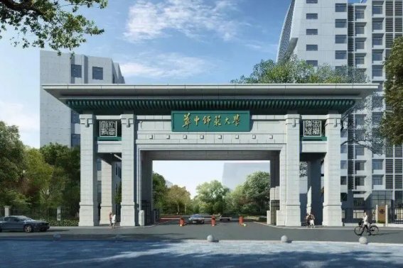 心理学考研学校排名表