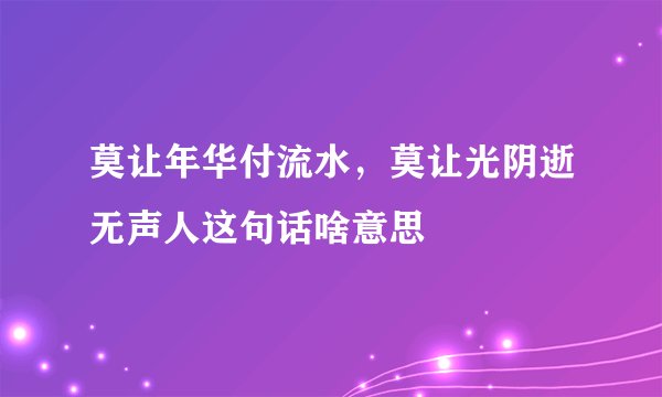 莫让年华付流水，莫让光阴逝无声人这句话啥意思