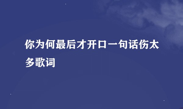 你为何最后才开口一句话伤太多歌词