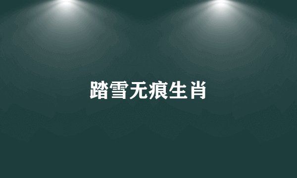 踏雪无痕生肖