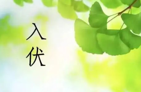 2022年哪天入伏第一天几点几分