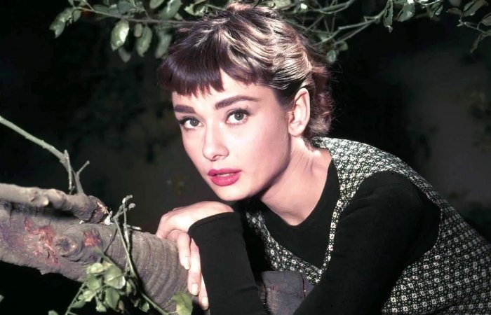 奥黛丽赫本的电影有哪些