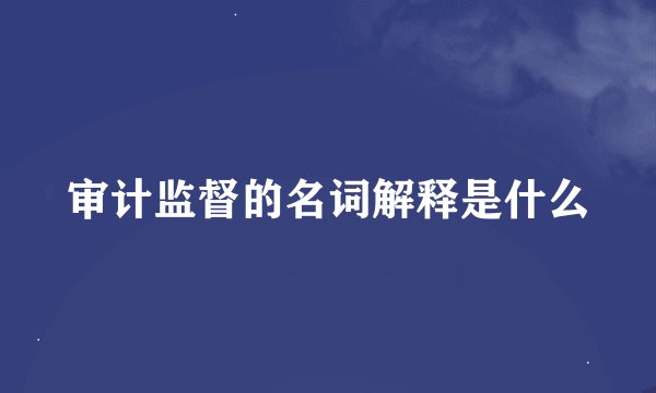 审计监督的名词解释是什么