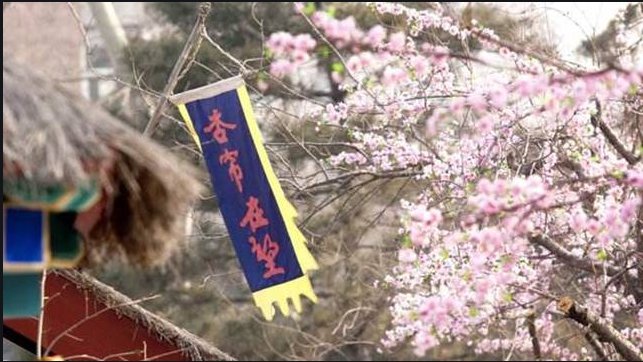 一春韭绿十里稻花香的诗是哪一首