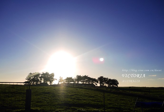 海天相吻的介绍