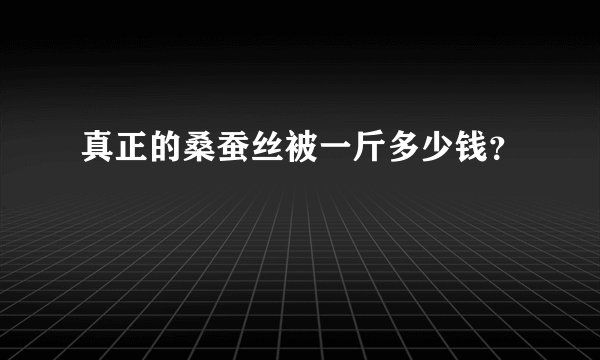 真正的桑蚕丝被一斤多少钱？