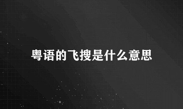 粤语的飞搜是什么意思