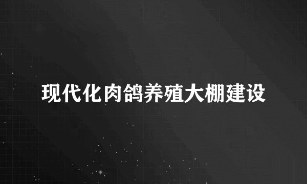 现代化肉鸽养殖大棚建设