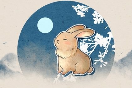 双春黑兔年是什么意思