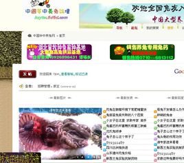 中国华中养兔论坛的介绍