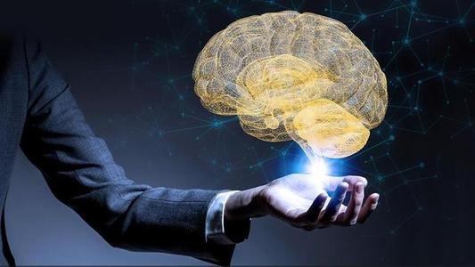 什么是智力，智力包括哪些内容？