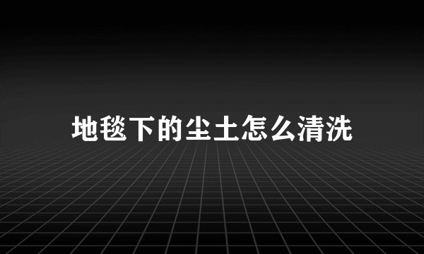 地毯下的尘土怎么清洗