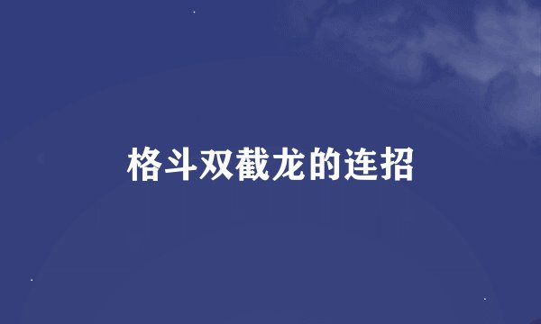 格斗双截龙的连招