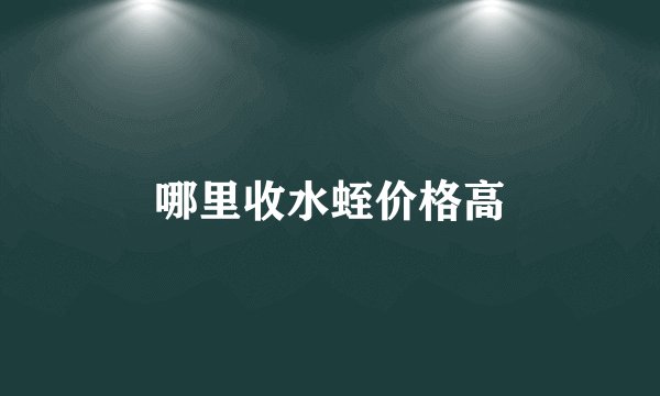 哪里收水蛭价格高