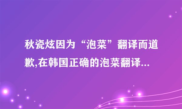 秋瓷炫因为“泡菜”翻译而道歉,在韩国正确的泡菜翻译是什么?_百度...