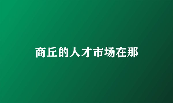 商丘的人才市场在那