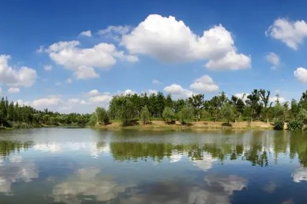 以室内空气与健康为主题的绘画