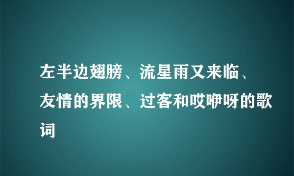 左半边翅膀、流星雨又来临、友情的界限、过客和哎咿呀的歌词