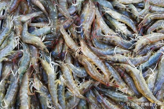 天气太热了！女子高温天买活虾到家熟透6只，当地气温还会热多久？