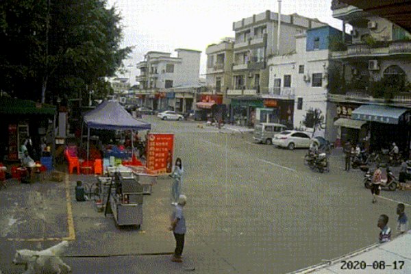 老人被狗绳绊倒身亡，其家属为何不再追责