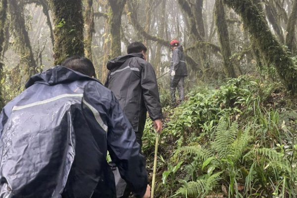 哀牢山4名地质队员经验丰富，为何会同时遇难？