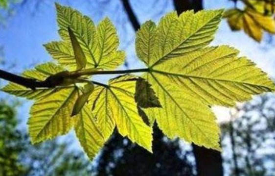 初一能洗澡吗？