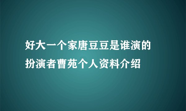 好大一个家唐豆豆是谁演的 扮演者曹苑个人资料介绍