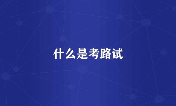 什么是考路试