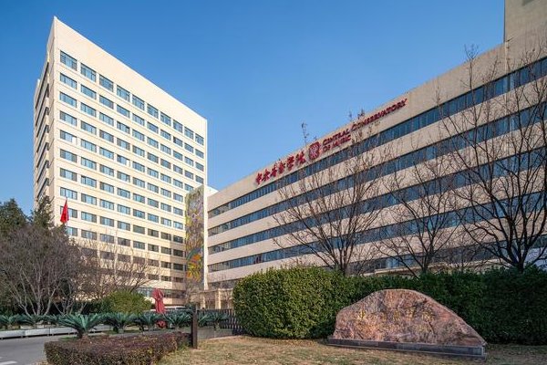 中央音乐学院艺考分数