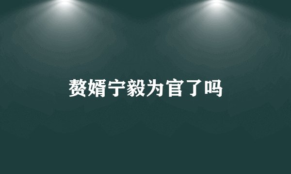 赘婿宁毅为官了吗