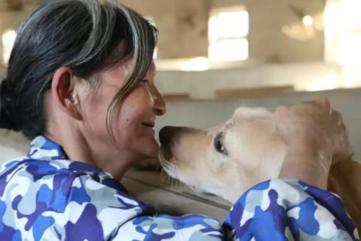 卖房不够又借债60万,老人执念救助流浪狗20年,她为何如此执着?