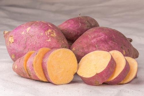 冷库能储存红薯吗