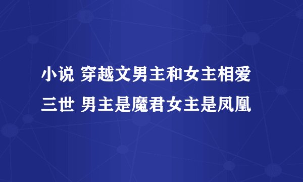 小说 穿越文男主和女主相爱三世 男主是魔君女主是凤凰