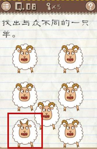 与众不同的羊是哪一只？