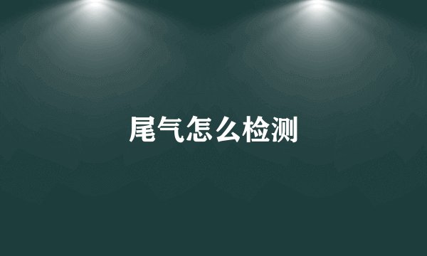 尾气怎么检测