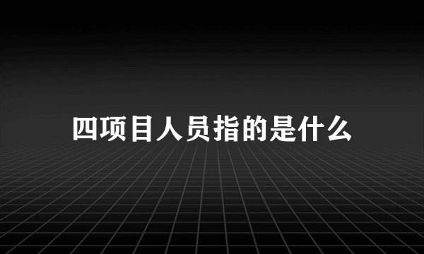 四项目人员指的是什么