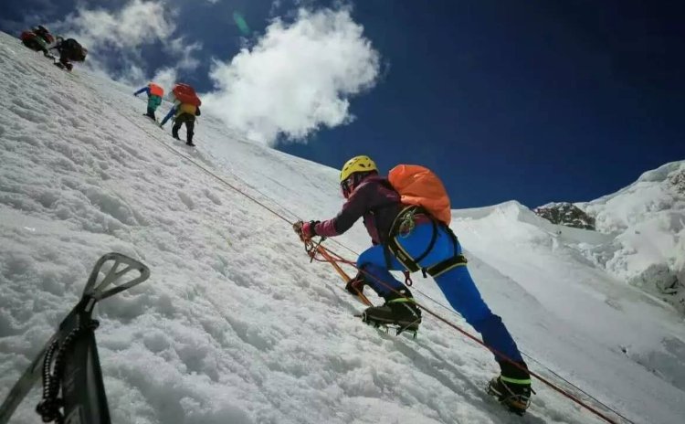 20部必看荒野生存的电影